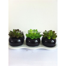 2014 cheap Artificial succulent plants plastic plants with dark ceramic pot